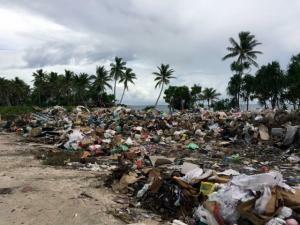 island waste issues