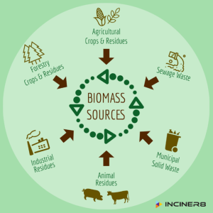 biomass
