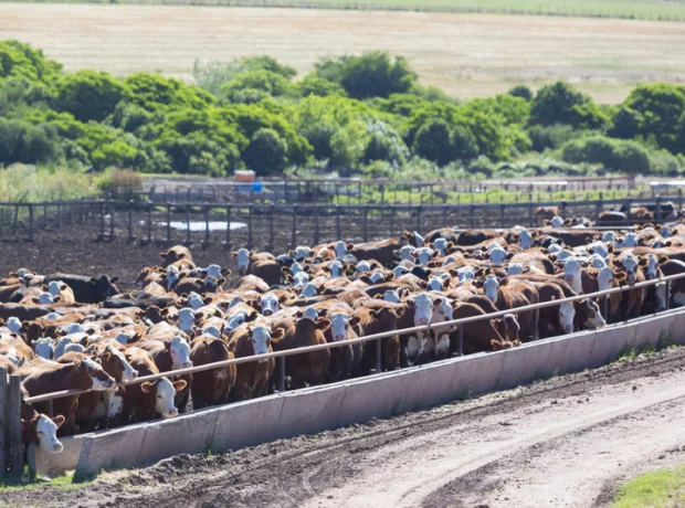 Bio Secure Incinerators