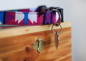 dog collar